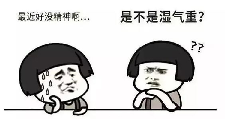 湿气重导致上班无精打采